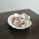 Playa ゲストハウス