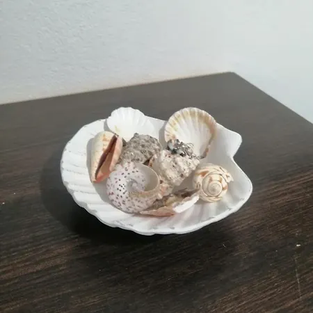 Playa 게스트하우스