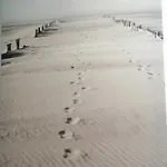 بيت ضيافة Playa *