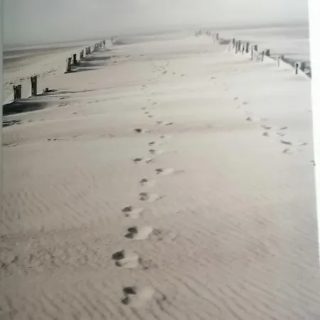 بيت ضيافة Playa *